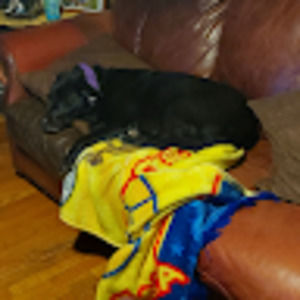 Meet your Posher, Bertha